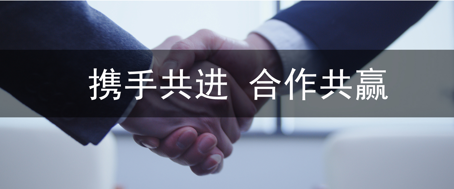 携手共进 合作共赢
